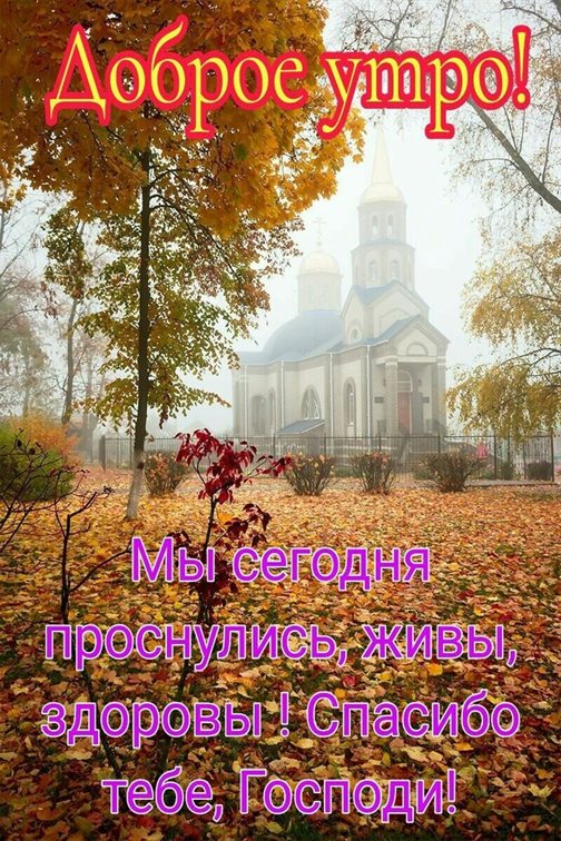 Подарок в виде открытки