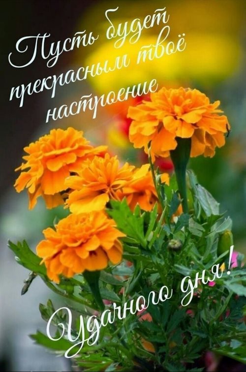 Пусть день будет незабываемым