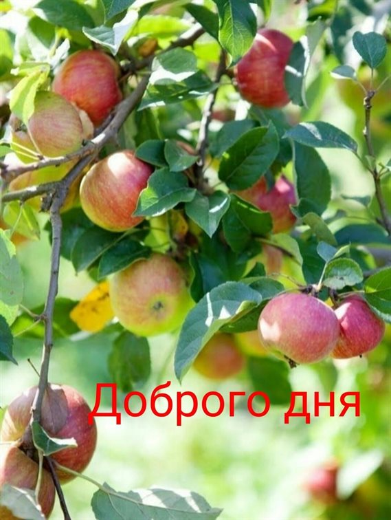 Пусть радость будет с вами