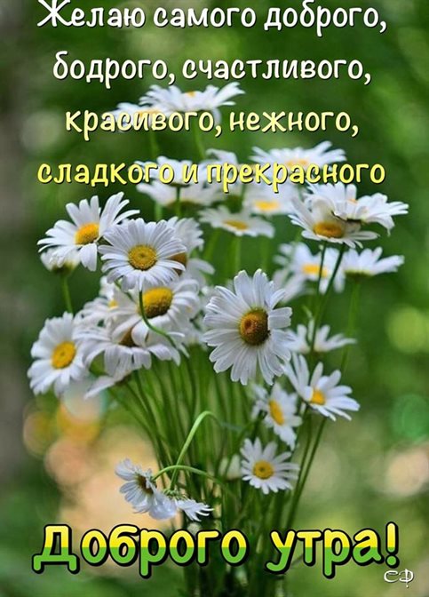 Пусть в жизни будет больше праздников