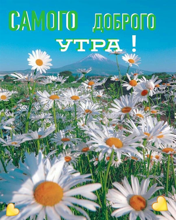 Поздравляем!