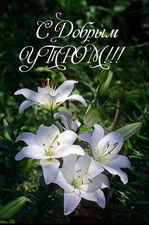 Поздравляем!