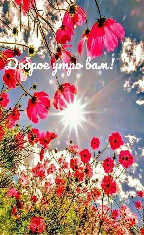 Теплые поздравления