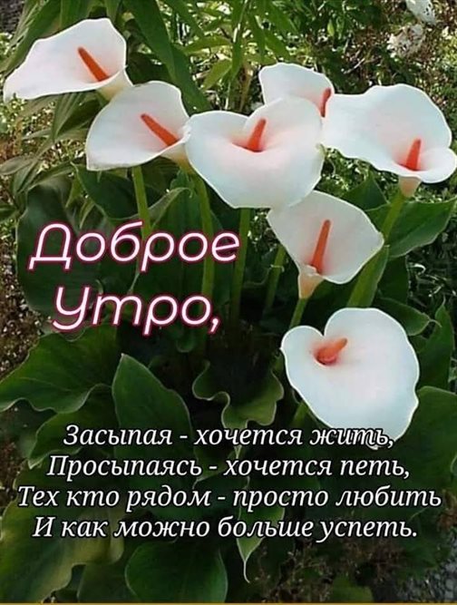 Тепло и счастье в каждом моменте