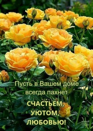 От всей души и сердца