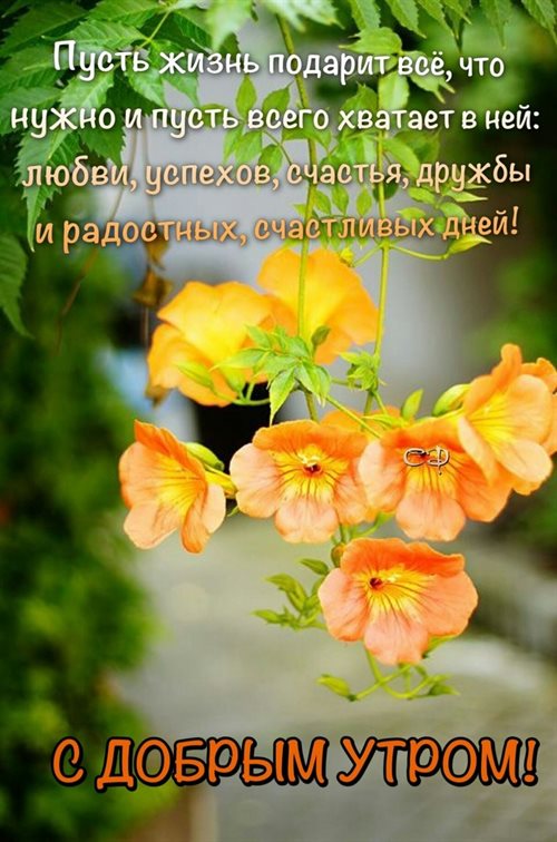 Особенная открытка для Открытки с добрым утром с природой