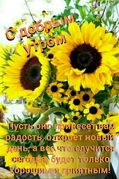 Пусть мечты сбываются