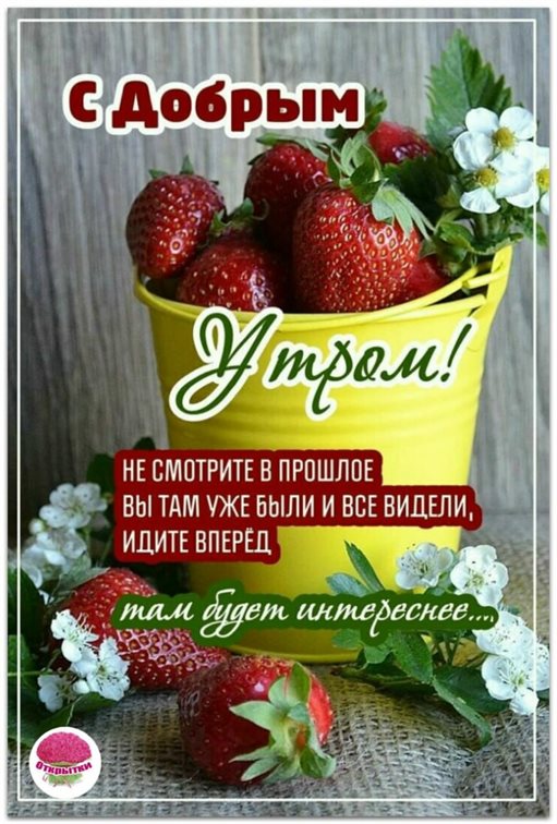 Особенная открытка для Открытки с добрым и хорошим утром