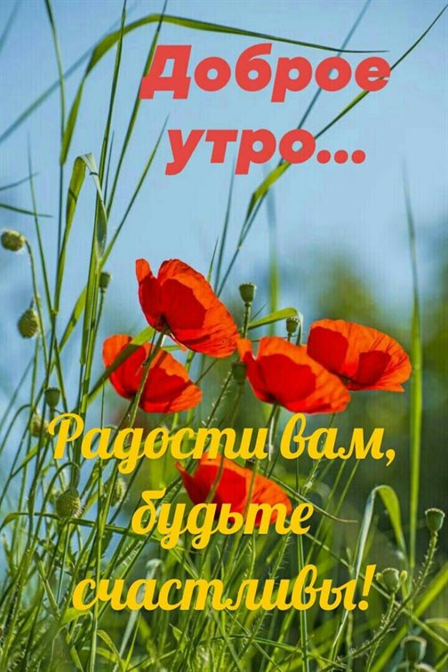 Пусть улыбка не сходит с лица