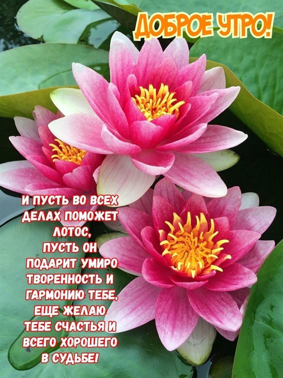 Больше радости в жизни