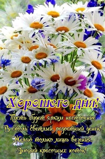 Подарите улыбку: Открытки с добрым и хорошим утром