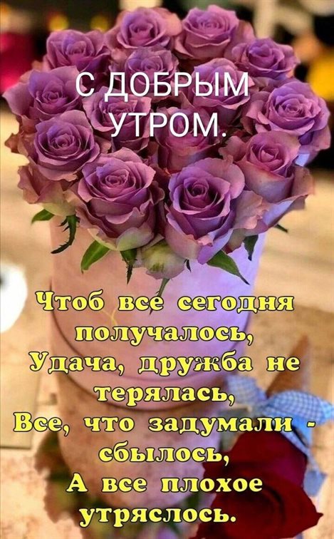Милая открытка для вас