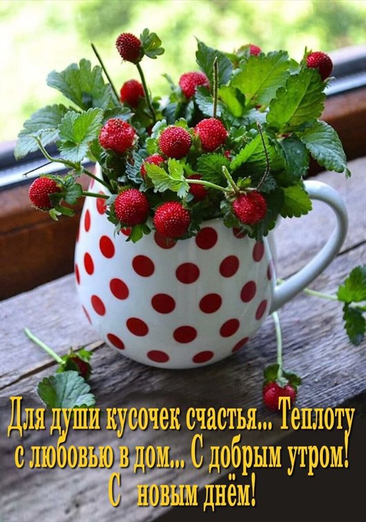 От души: Открытки с добрым и хорошим утром