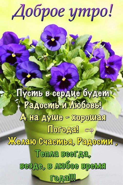 Красивая открытка для Открытки с добрым и хорошим утром