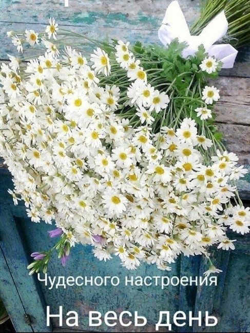 Подарите улыбку: Открытки с добрым и хорошим утром