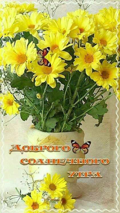 Немного волшебства в ваш день