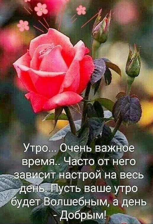 Красивая открытка для Открытки с добрым и хорошим утром