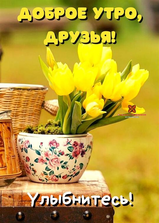 С наилучшими пожеланиями