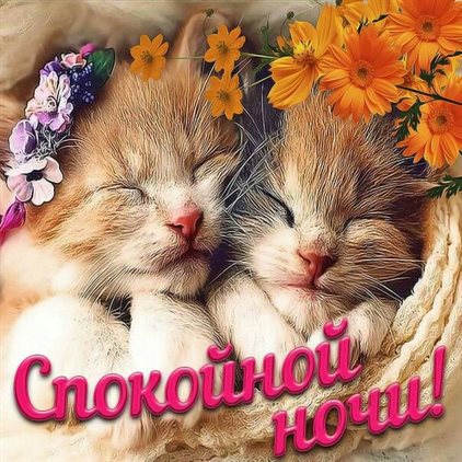 Теплые поздравления