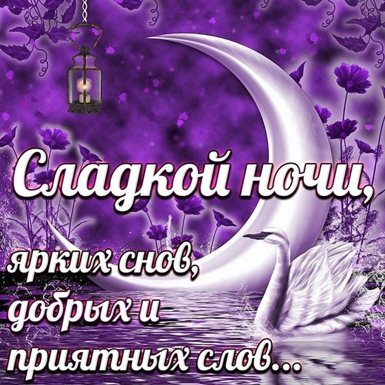Яркие пожелания для Открытки спокойной ночи