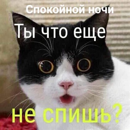 Пусть все сбудется