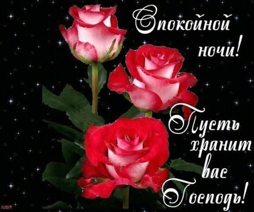Немного тепла и заботы
