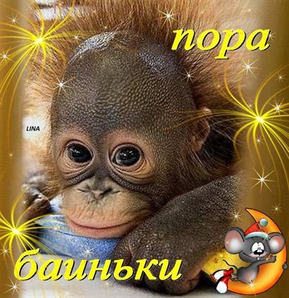 Подарок в виде открытки
