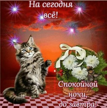 Яркие пожелания для Открытки спокойной ночи