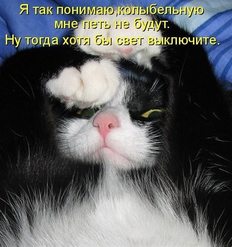 Немного волшебства в ваш день