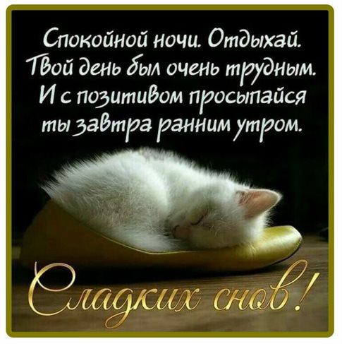 Нежность и внимание