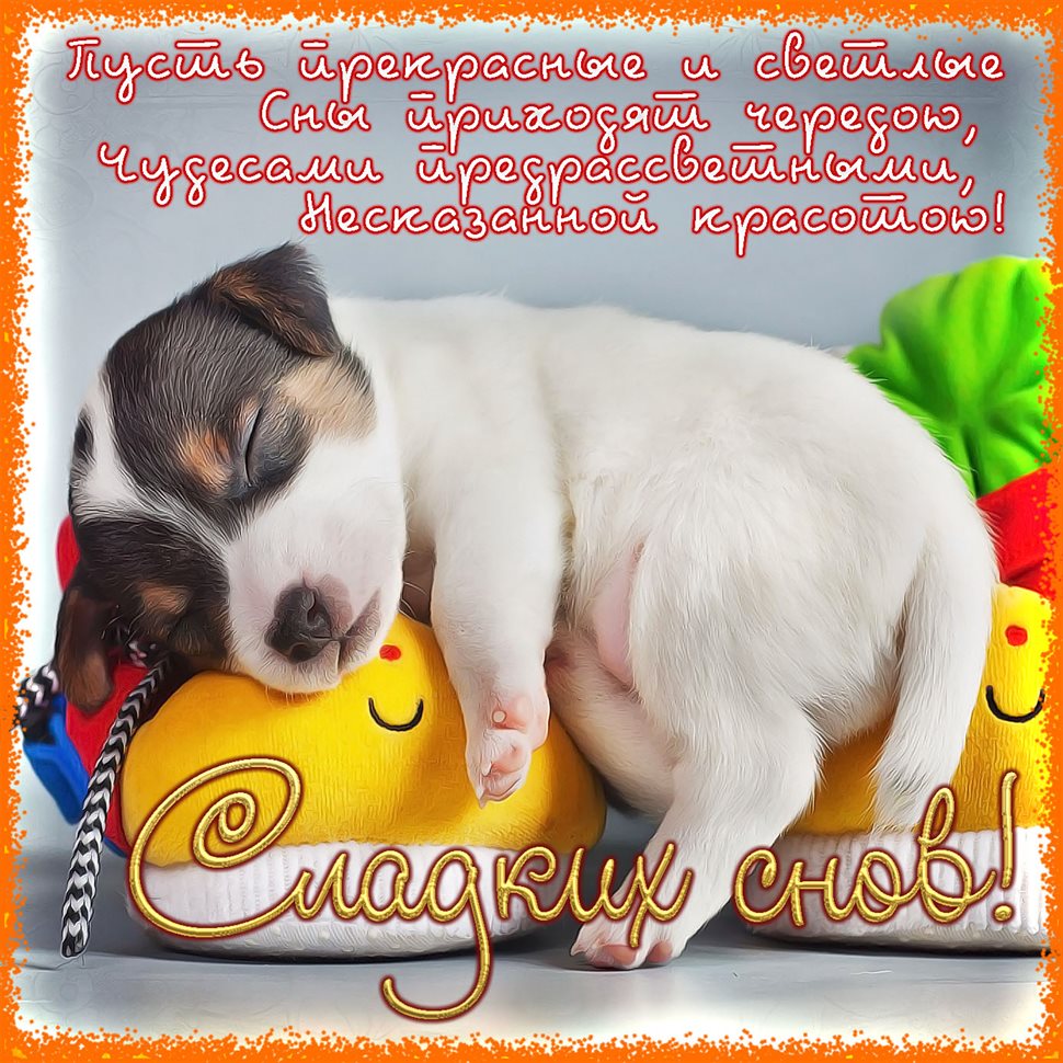 Теплые поздравления