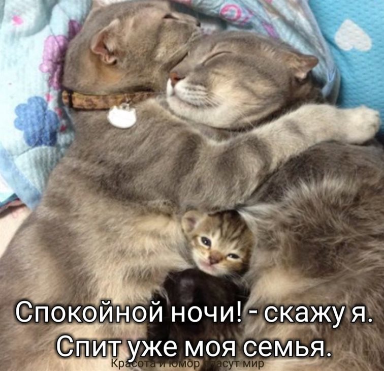 Яркая открытка для вас