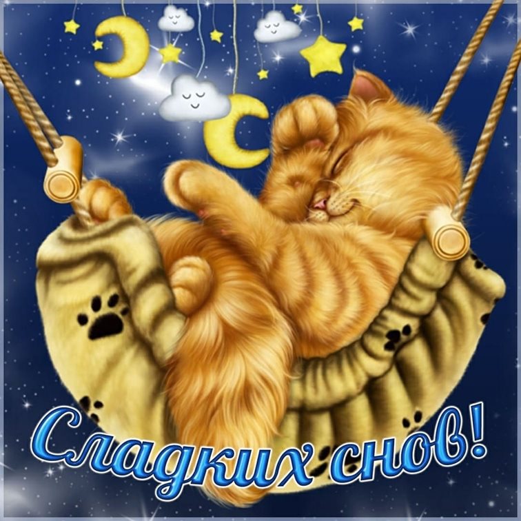 Нежность и внимание