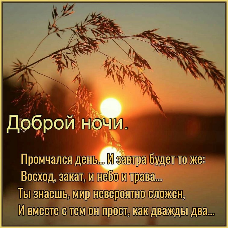 Тепло и счастье в каждом моменте