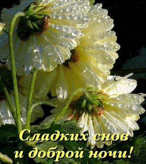 Красивая открытка для Открытки спокойной ночи с природой