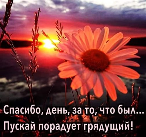С наилучшими пожеланиями