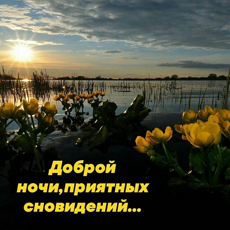 Пусть улыбка не сходит с лица