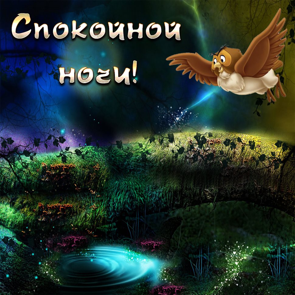 С наилучшими пожеланиями