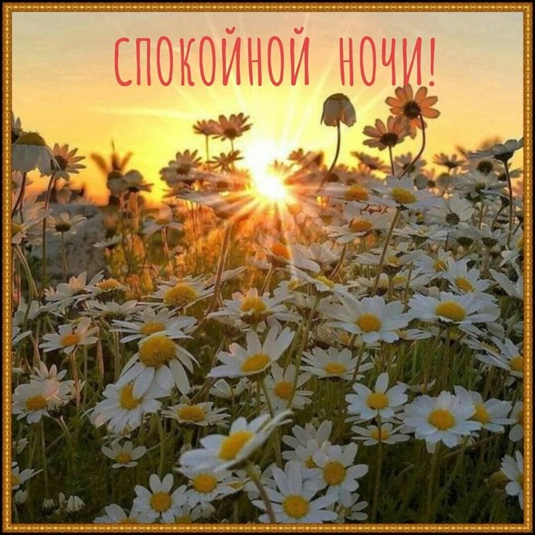 От души: Открытки спокойной ночи с природой