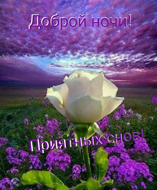Пусть мечты сбываются