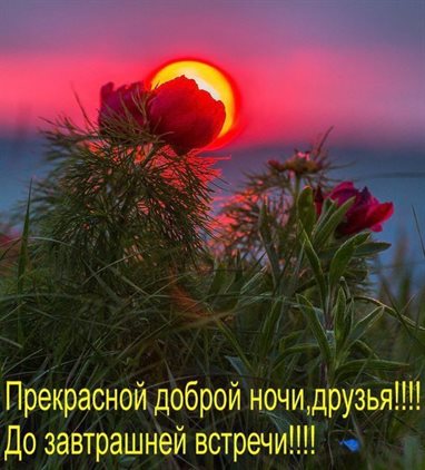 Пусть этот день принесёт радость