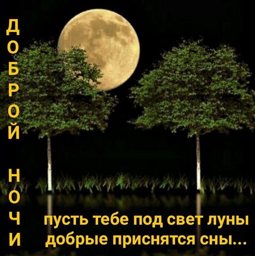 Открытки спокойной ночи с природой — прекрасный выбор!