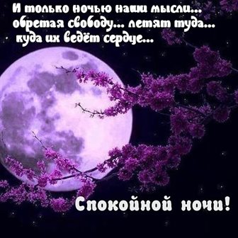 Позитивные эмоции для Открытки спокойной ночи с природой