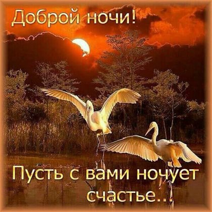 Теплые поздравления