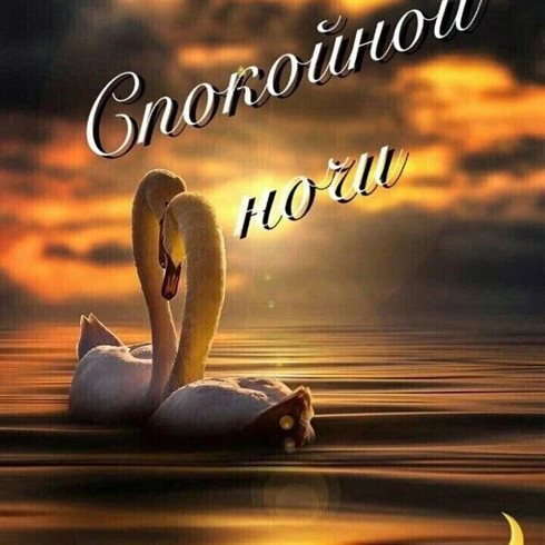 Пусть радость будет с вами