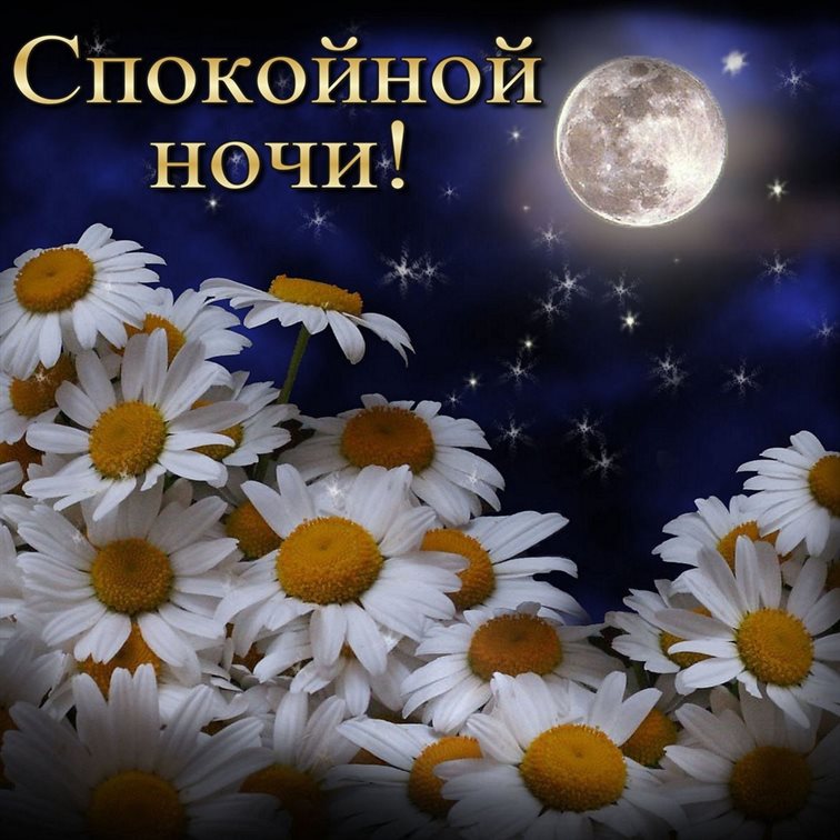 От души: Открытки спокойной ночи с природой