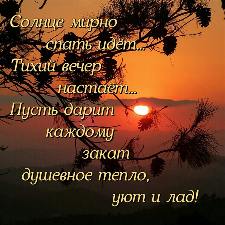 Теплые поздравления