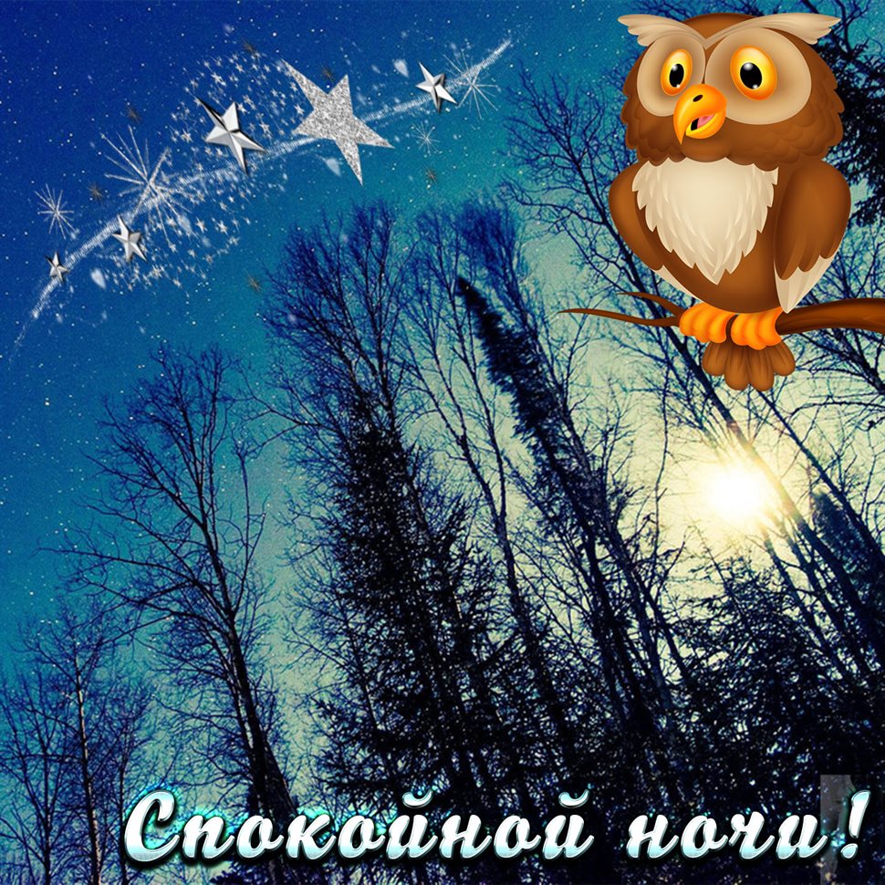 Яркие пожелания для Открытки спокойной ночи с природой