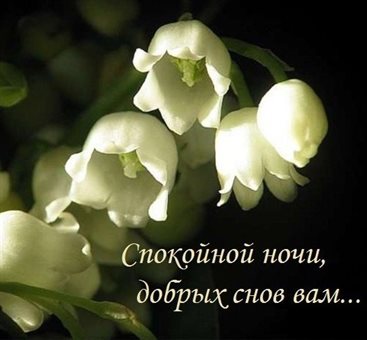 С любовью и уважением