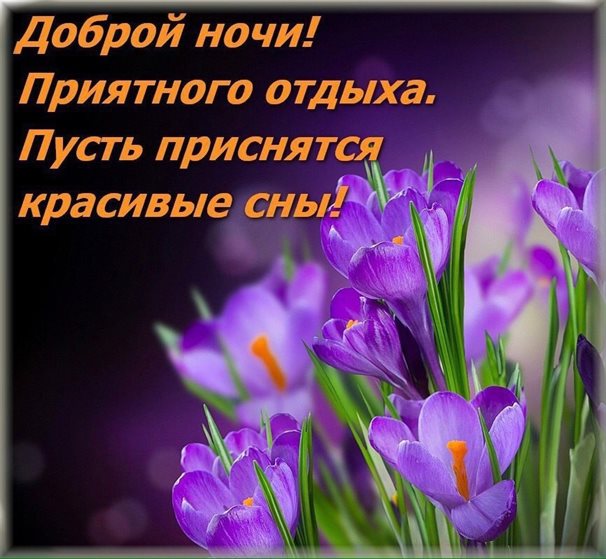 Доброта и забота